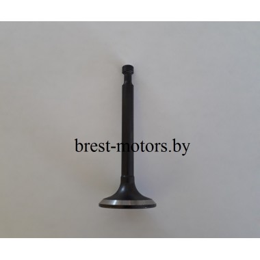 Клапана головки блока Honda GX 120, 160, 200, 270, 390, 420-0