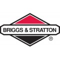 Запчасти к бензиновым двигателям Briggs & Stratton