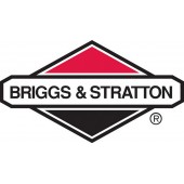 Как заказать запчасти к двигателю Briggs & Stratton