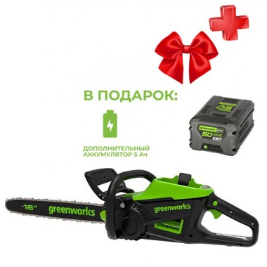 Аккумуляторная пила Greenworks GD60CS25 АКБ 5Ач и ЗУ.-0