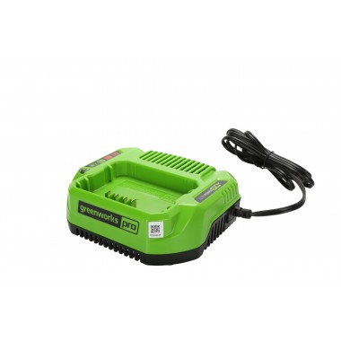 Зарядное устройство Greenworks 60V, G60UC2, 2А.-3