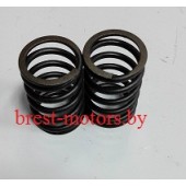 Пружины клапана 