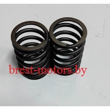 Пружины клапана -0