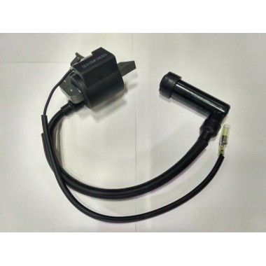 Модуль зажигания (катушка) 156F-0