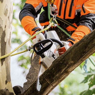 Аккумуляторная пила STIHL MSA 161 T 1/4P (шина 30см, без АКБ и ЗУ)-2