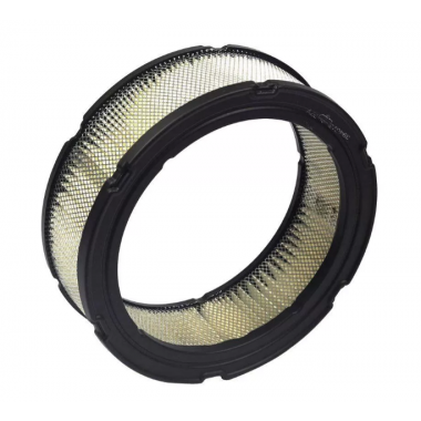 Фильтр воздушный B&S Vanguard 806232 (394018S)-0