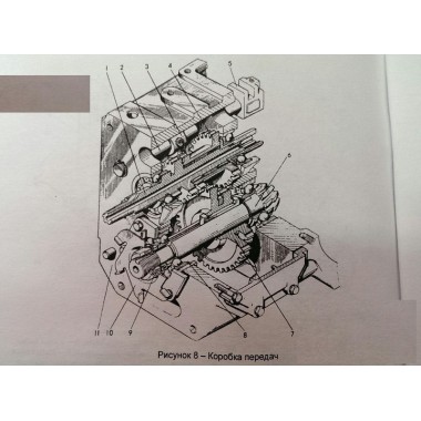 Шестерни коробки передач мотоблока МТЗ 05-09.-2