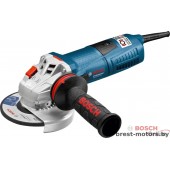 Болгарка Bosch GWS 12-125 CIX Professional