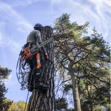 Цепь Oregon 35 см 3/8 1,3mm 52 звена Husq, Partner-1